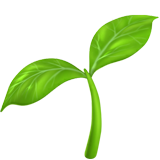 <p>Clean & Non-Invasive</p>